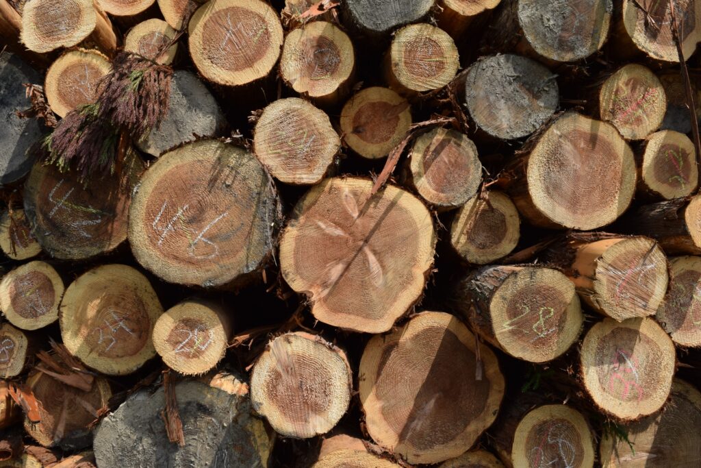 atelier Ming i-works4.0 自然素材の家 板張り